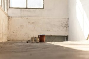 How to Clean Mould from Walls and Ceilings